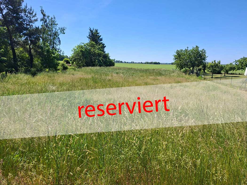 Bauträgerfreies Grundstück für ein beliebiges Wohnbauvorhaben in schöner Oderbruchlandschaft in Neuwustrow/Oderbruch zu verkaufen