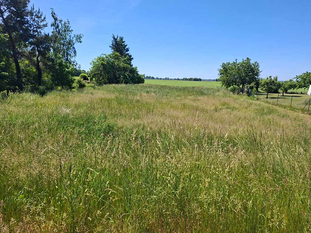 Bauträgerfreies Grundstück für ein beliebiges Wohnbauvorhaben in schöner Oderbruchlandschaft in Neuwustrow/Oderbruch zu verkaufen
